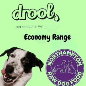 Drool Economy - Beef & Turkey 454g